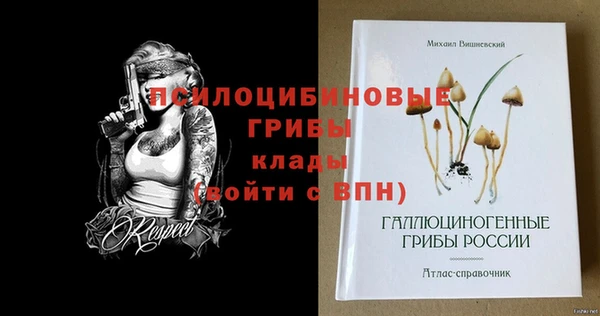 экстази Абаза