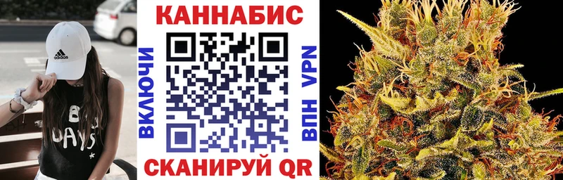 купить   Лиски  Бошки Шишки ГИДРОПОН 